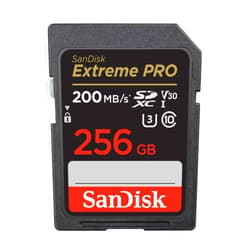 SanDisk 256GB Extreme PRO SDXC UHS-I Memory Card - C10, U3, V30, 4K UHD, SD Card - SDSDXXD-256G-GN4IN, Dark gray/Black