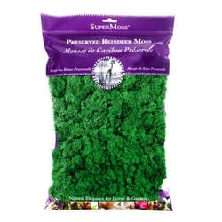 SuperMoss (21757) Reindeer Moss Preserved, Forest, 8oz (200 cubic inch)