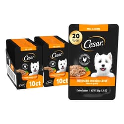 Cesar Filets in Gravy Wet Dog Food Rotisserie Chicken Flavor, Wet Food for Dogs, 1.76 oz. Mini-Pouches, 20 Count
