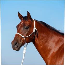 Classic Equine Rope Halter and 9-foot Leadrope, White