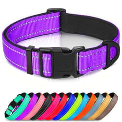 Joytale Reflective Dog Collar,Soft Neoprene Padded Breathable Nylon Pet Collar Adjustable for Medium Dogs,Purple,M