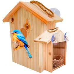 5 STAR SUPER DEALS See Through Window Birdh Ouse - Wooden, Large Suction Cups, Hanging Lanyard Rope Bird House - Spy Window Bird Nest Box - Outdoor Bird Watching, Backyard Bird Shelter