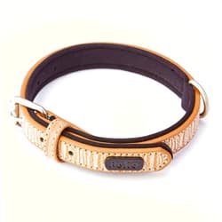 Petio Dog Collar, Flash Collar, Small, Leather Brown
