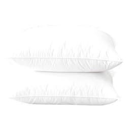 BHZ Goose Down Feather Pillows Standard Size Set of 2 Pack, Luxury Hotel Collection Bed Pillows for Sleeping Firm Soft Support for Side, Back, Stomach Sleepers, White