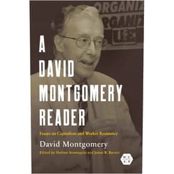 By David W. Montgomery (Author), Shelton Stromquist (Editor), James R. Barrett (Editor) & 0 more Format: Kindle Edition A David Montgomery Reader: Essays on Capitalism and Worker Resistance (Working Class in American History)