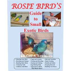 Gail A. Lewis Rosie Bird's Guide to Small Exotic Birds: Bird Care Extraordinaire