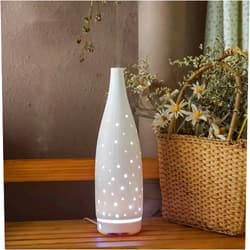 BWGHBH Ceramic Essential Oil Diffuser Indoor, Decorative Aromatherapy Humidifier Aromatherapy Diffuser with LED Light for Large Room