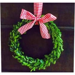 Wreath and Vine, LLC Small Mini Preserved Boxwood Christmas Wreath with Red and White Gingham Check Ribbon for Holiday Home Decor, Farmhouse Christmas Decorations, Gift, Handmade, Green, 6 Inch