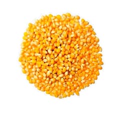 BALTORO FOODS Organic Popcorn Kernels unpopped Non-GMO, Vegan Bulk Raw (2 lb)
