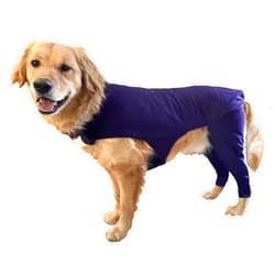 Buckwheat Dog Dog Sleeve for Rear Legs Anti Lick, Dog Surgery Recovery Suit, Dog Pants to Prevent Licking, Dog Cone Alternative for Hind Legs, Medium, Blue