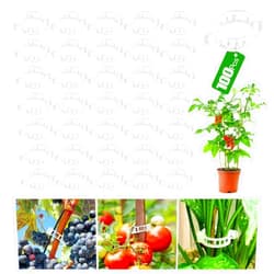 Chyaya 100 Pcs Plastic Plant Clip, Plant Support Clips for Support Tomato Grape Vine Vegetables, Reusable Trellis for Climbing Plants Outdoor, Plant Wall Clips to Grow Upright Makes Plants Healthier