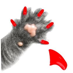 Pretty Claws 60 Piece Soft Nail Caps with Adhesive for Cat Claws - Wild Cherry RED Medium