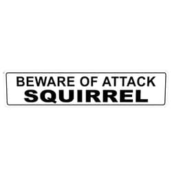 Cortan360 Beware of Attack Squirrel 8
