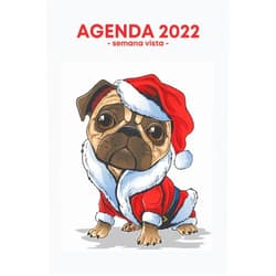 M.Julia Art Agenda semana vista: Para una perfecta gestión del tiempo | 2 páginas = 1 semana | weekly planner |Perro | Regalo original mujer hombre (Spanish Edition)
