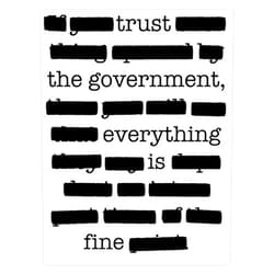 American Magnet Trust The government, everything is fine. Sticker Vinyl Bumper Sticker 6 Mil Thick - Size 5