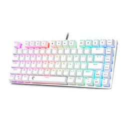 HUO JI E-Yooso Z-88 RGB Mechanical Gaming Keyboard, Metal Panel, Blue Switches - Clicky, Compact 81 Keys Hot Swappable for Mac, PC, Silver and White