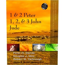 By Peter H. Davids (Author), Douglas J. Moo (Author), Robert Yarbrough (Author), Clinton E. Arnold (Editor) & 1 more 1 and 2 Peter, Jude, 1, 2, and 3 John (Zondervan Illustrated Bible Backgrounds Commentary)