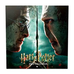 Grupo Erik Official Harry Potter 2022 Wall Calendar, 2022 Calendar, 12