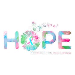 BKR Graphics Hope Butterfly Flower Metastatic Breast Cancer Awareness T 333 Bumper Sticker Vinyl Decal 5