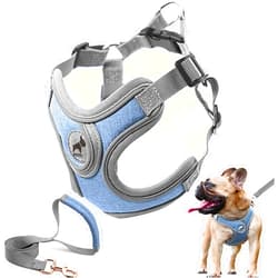 SAEGYPET Dog Harness with Leash Set, No Pull Adjustable Step in Dog Collars Harness with Breathable Padded Vest Harness for Small Medium Large Dogs Training and Running(M, Blue)