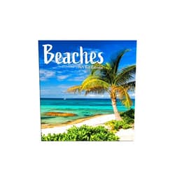 Turner Licensing TURNER PHOTOGRAPHIC Beaches Photo Mini Wall Calendar (25998950038)