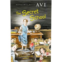 Avi The Secret School