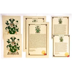 Peter Townsend's Irish Collection O'Shanahan - Last Name Coat of Arms, Family Crest and History Print Set (2 Pack)
