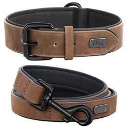 Didog Soft Padded Leather Dog Collar and Leash Set, Heavy Duty Dog Leash and Collar Set with Metal Buckle, Breathable Dog Collars with 4FT Leather Dog Leash for Small MediumDogs, Brown, M
