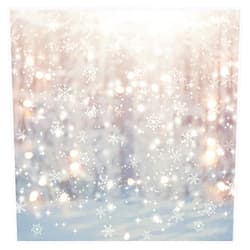 Allenjoy 6 x 6 FT Winter Wonderland Photography Backdrop Christmas Glitter Bokeh Snowflakes Background for Kids Children Newborn Baby Shower Birthday Party Decor Banner Portrait Photo Booth Props