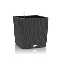 Lechuza 15382 Cube Cottage 40 Self-Watering Planter for Indoor and Outdoor Use, 15