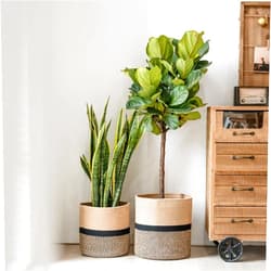TIMEYARD Sturdy Jute Rope Plant Basket Set of 2