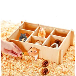 Petsfit 6-Chamber Hamster Maze, Wooden Hamster House with Transparent Acrylic Lid, Hideout & Tunnel Exploring Toys for Hamsters Gerbils Mice