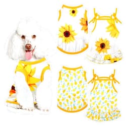 Frienda 4 Pieces Pet Clothes Set Include 2 Pieces Cute Pet Dress Lovely Fruit Dog Dress and 2 Pieces Dog Shirt Breathable Pet T-Shirt Puppy Clothes for Pet (Pineapple, Sunflower,Medium)