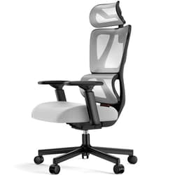ProtoArc Ergonomic Office Chair with 30% Thicker Saddle Shaped Spring Cushion, Adaptive Lumbar Support, Big and Tall Mesh Chair with Headrest for Home Office, Desk Chair with Wheels EC100 (Grey)