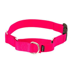 PetSafe Martingale Dog Collar with Quick-Snap Buckle - Medium, 1 Inch, Raspberry