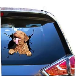 Camellia Print Chesapeake Bay Retriever Decal Chesapeake Bay Retriever Sticker Cute Vynal Trucks Stickers for Moms Funny Jokes Die Cut Car Sticers