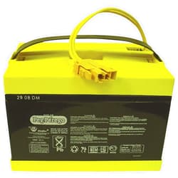 Peg Perego 24 Volt Replacement Battery for Peg Perego Vehicles