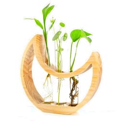 Ceiner Plant Propagation stations, Crescent Moon Table Terrarium Stand for Indoor houseplants, Wooden Wall Boho Hanging Planter Vase with Glass Test Tube for Office Decor Aesthetic, Gift for Women Mom