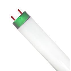 Philips 281550 F32T8/TL841/ALTO 32 Watt T8 lumens 2.950 4100K Cool White 48in Case of 30