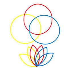 hand2mind 5715 Attribute Sorting Circles, Set of 6