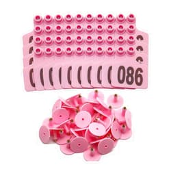 Achicklead 100PCS Cattle Ear Tags Numbered 001-100, Plastic Livestock Animal Ear Tag for Cows Goats Sheep Pigs Animal Identification Earring Tagger (Pink)