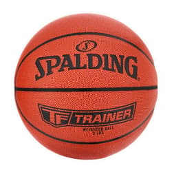 Spalding TF-Trainer Indoor Basketball