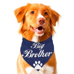 SAE99 Dog Bandana Bib Triangle Scarf for Small to Large Breed (Big Brother, X-Large)