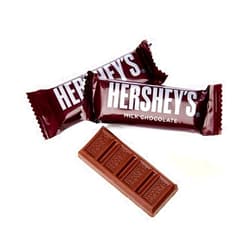 Sweet Savora HERSHEYS Milk Chocolate Snack Size Candy Bars in Bulk (3 Pound)