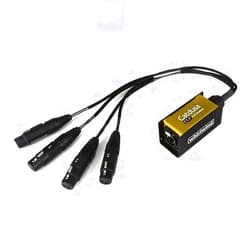 Whirlwind Catdusa CT-F RJ45 Breakout Adapter with 4x 1.5' XLRF Cable