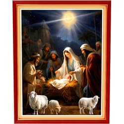 Dooxvey Cross Stitch Kits for Adults Stamped Full Range of Embroidery Starter Kits for Beginners 11CT Printed Cross Stitch Patterns Needlepoint Kits Stamped Cross Stitch-Nativity 16x20 inch