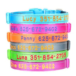 KINYABLUE Personalized Dog Collar, Custom Embroidered Pet Name and Phone Number, Double Layer Durable Reflective Nylon Dog Collar, Adjustable for Large Medium Small Dogs