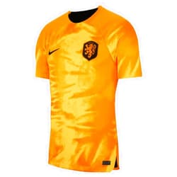 Nike 2022-2023 Holland Home Football Soccer T-Shirt Jersey Orange