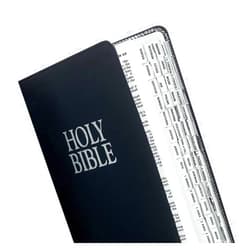 Tabbies Mini Silver-Edged Bible Indexing Tabs, Old & New Testament, 80 Tabs Including 64 Books & 16
