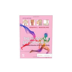 Joseph E. Muscolino DC The Muscular System Manual: The Skeletal Muscles of the Human Body